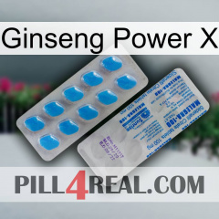Ginseng Power X new15